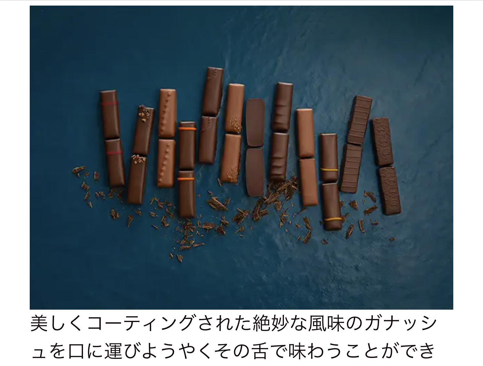 ラ・メゾン・デュ・ショコラ長いショコラ
